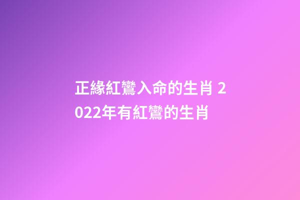 正緣紅鸞入命的生肖 2022年有紅鸞的生肖-第1張-觀點-玄機派